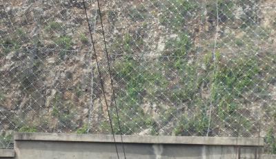 RX-075型SNS被動防護網