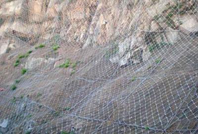 GPS2型邊坡防護網